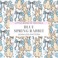 Peter Rabbit Seamless Pattern (Available In Different Colourways)